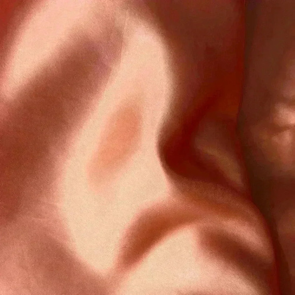 Jessica McClintock Gown Size 5 Embroidered Bodice Y2K Iridescent Pink Corset - Picture 6 of 8